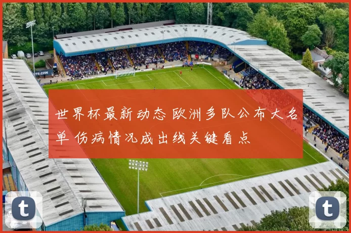 世界杯最新动态 欧洲多队公布大名单 伤病情况成出线关键看点