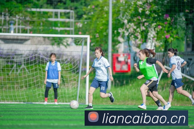 Z6·尊龙凯时「中国」官方网站平台生态图