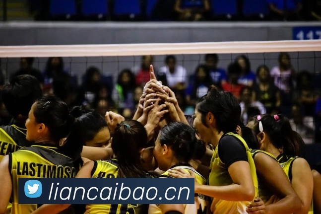 Z6·尊龙凯时「中国」官方网站APP 封面图